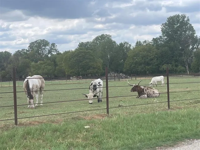 a view of a swimming pool