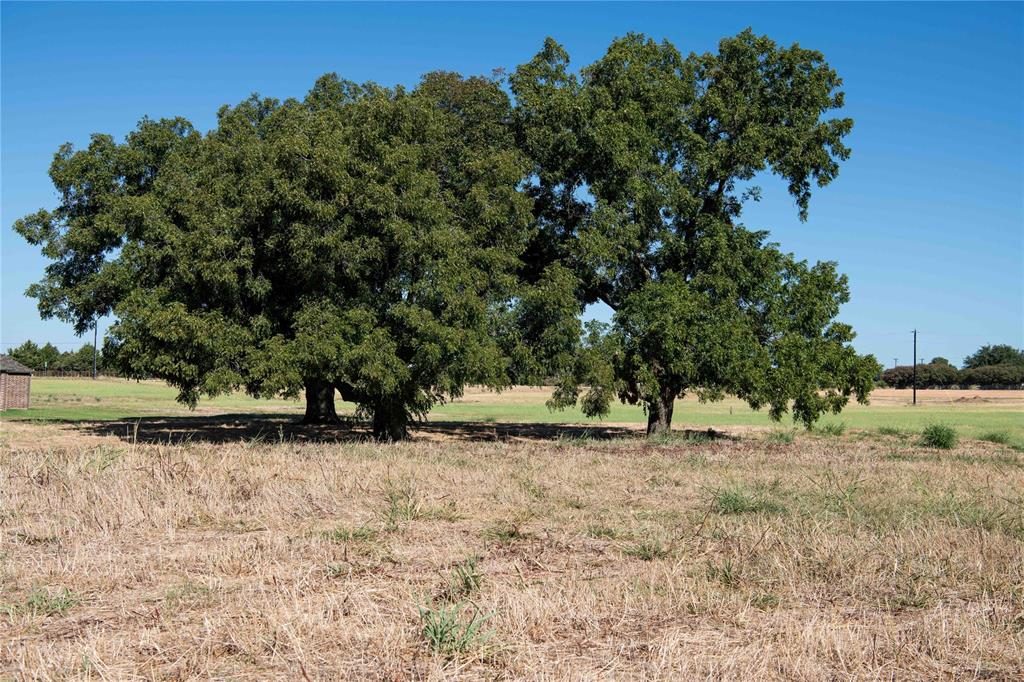 2160 County Road 4371 Decatur, TX 76234 - Photo 22 of 31 a view of a yard with trees