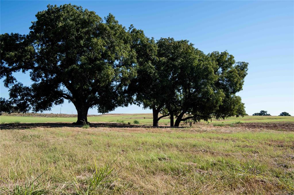 2160 County Road 4371 Decatur, TX 76234 - Photo 25 of 31 a view of yard with trees