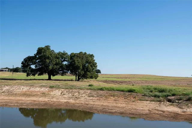 a view of dirt yard with a large tree