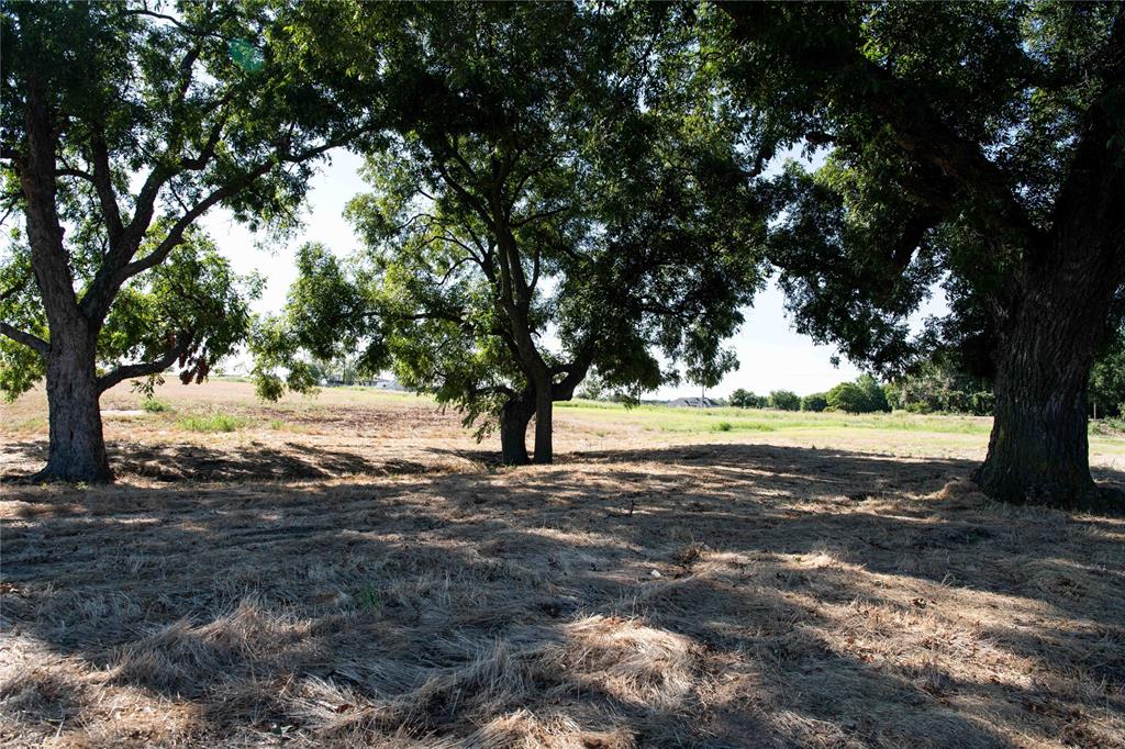 2160 County Road 4371 Decatur, TX 76234 - Photo 9 of 31 a view of dirt yard with a large tree