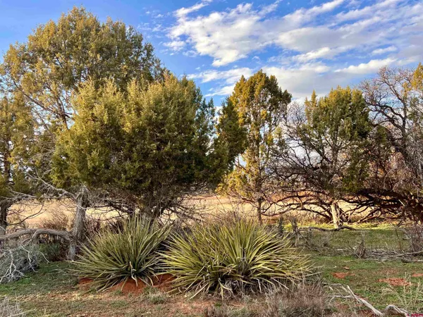 a view of a lake view
