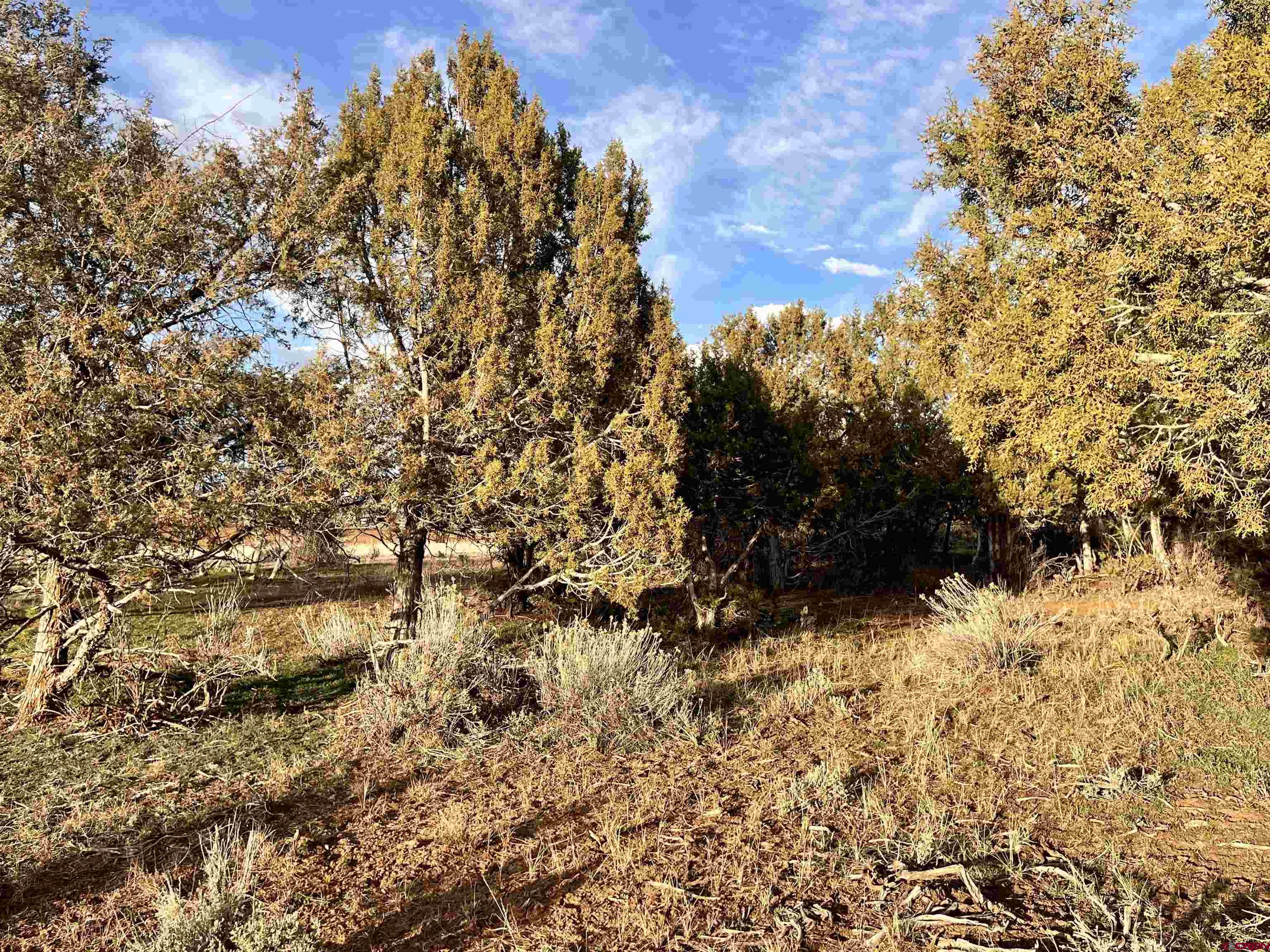 478 Highway 172 Durango, CO 81303 - Photo 14 of 26