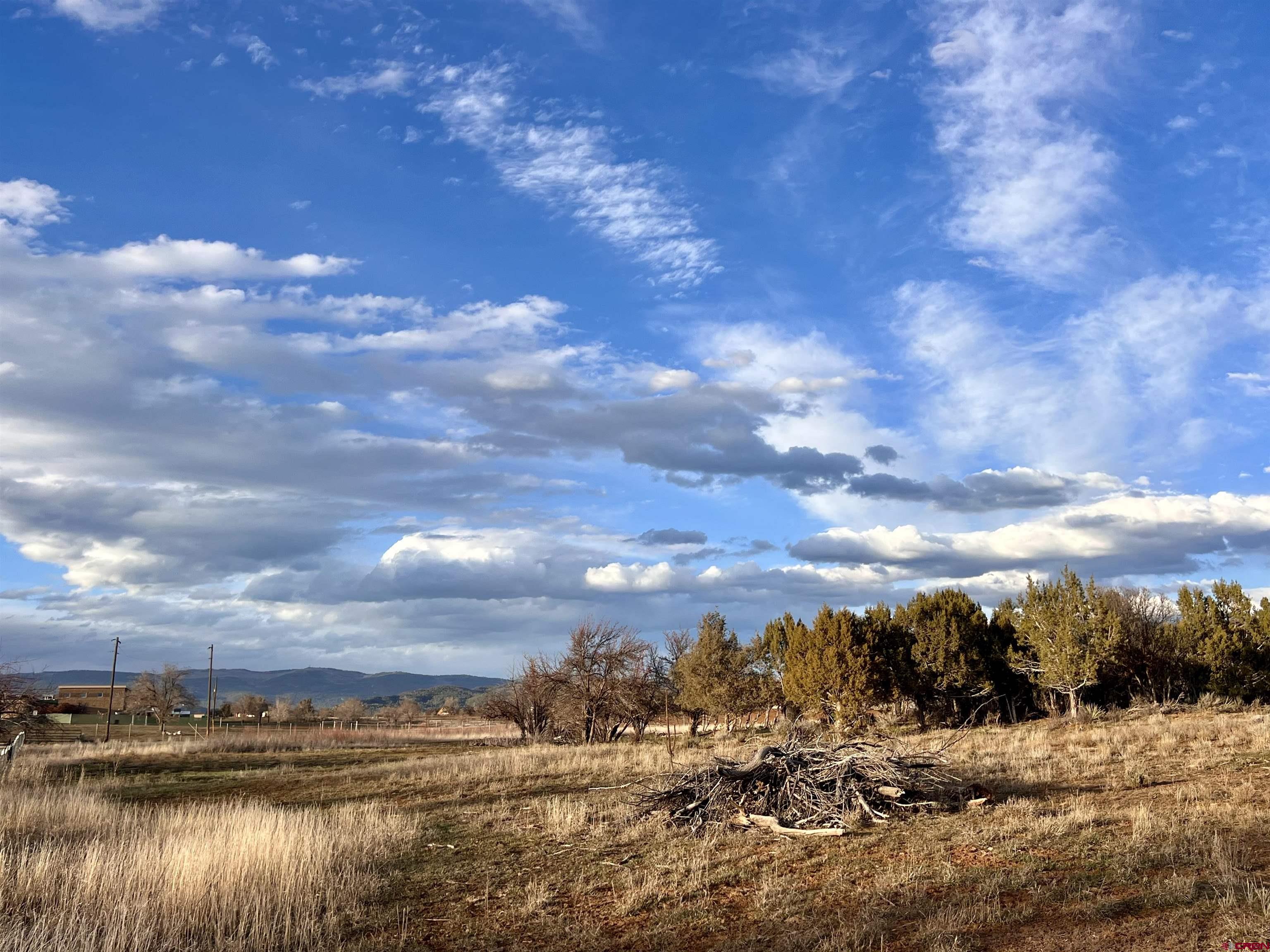 478 Highway 172 Durango, CO 81303 - Photo 15 of 26