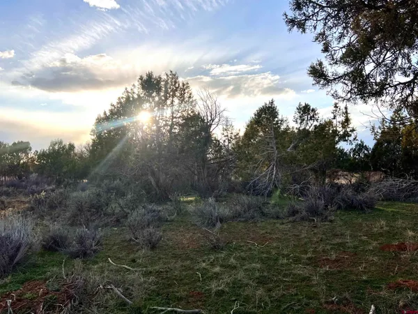 a view of house with backyard and entertaining space