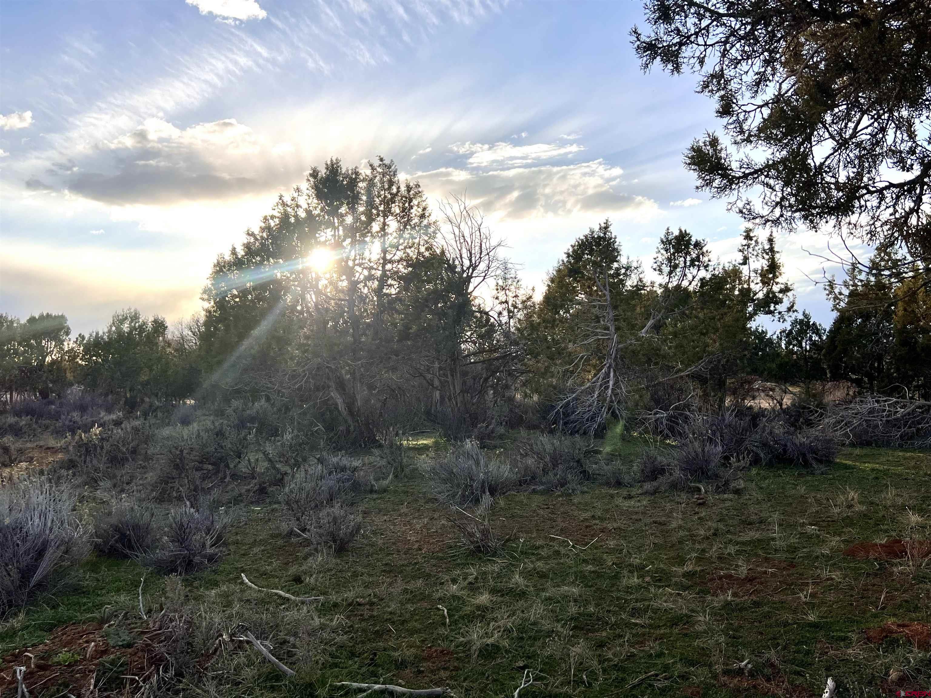 478 Highway 172 Durango, CO 81303 - Photo 17 of 26