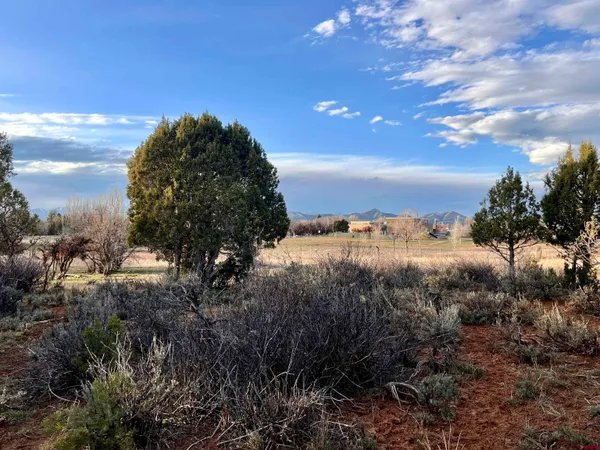 a view of outdoor space with garden