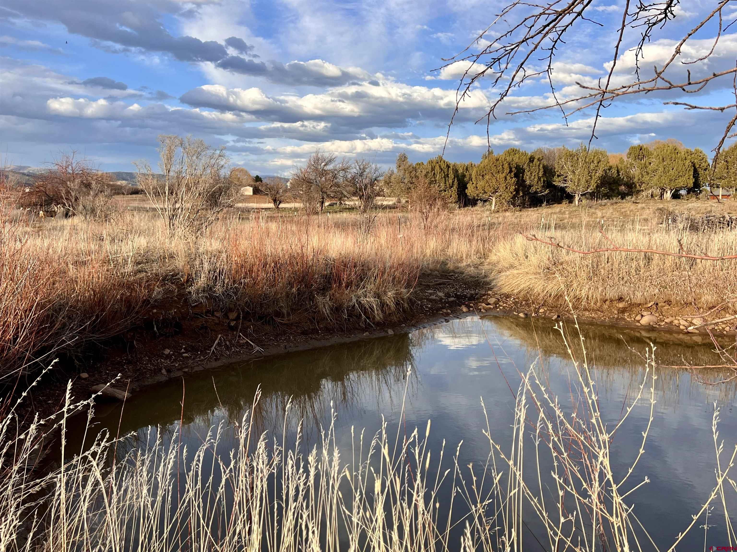 478 Highway 172 Durango, CO 81303 - Photo 19 of 26