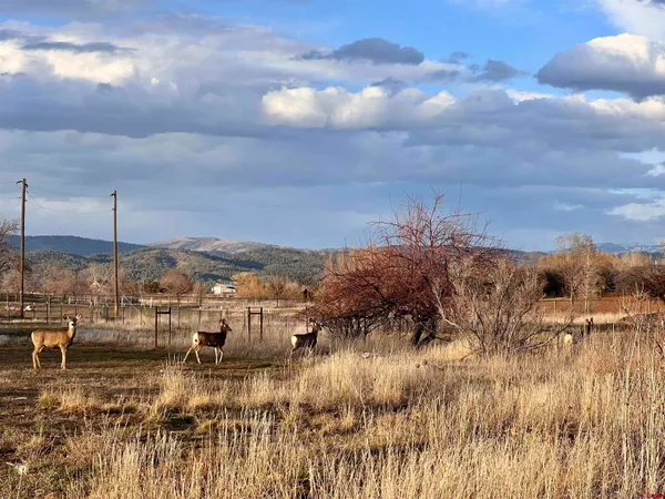 $425,000 | 478 Highway 172, Durango, CO 81303