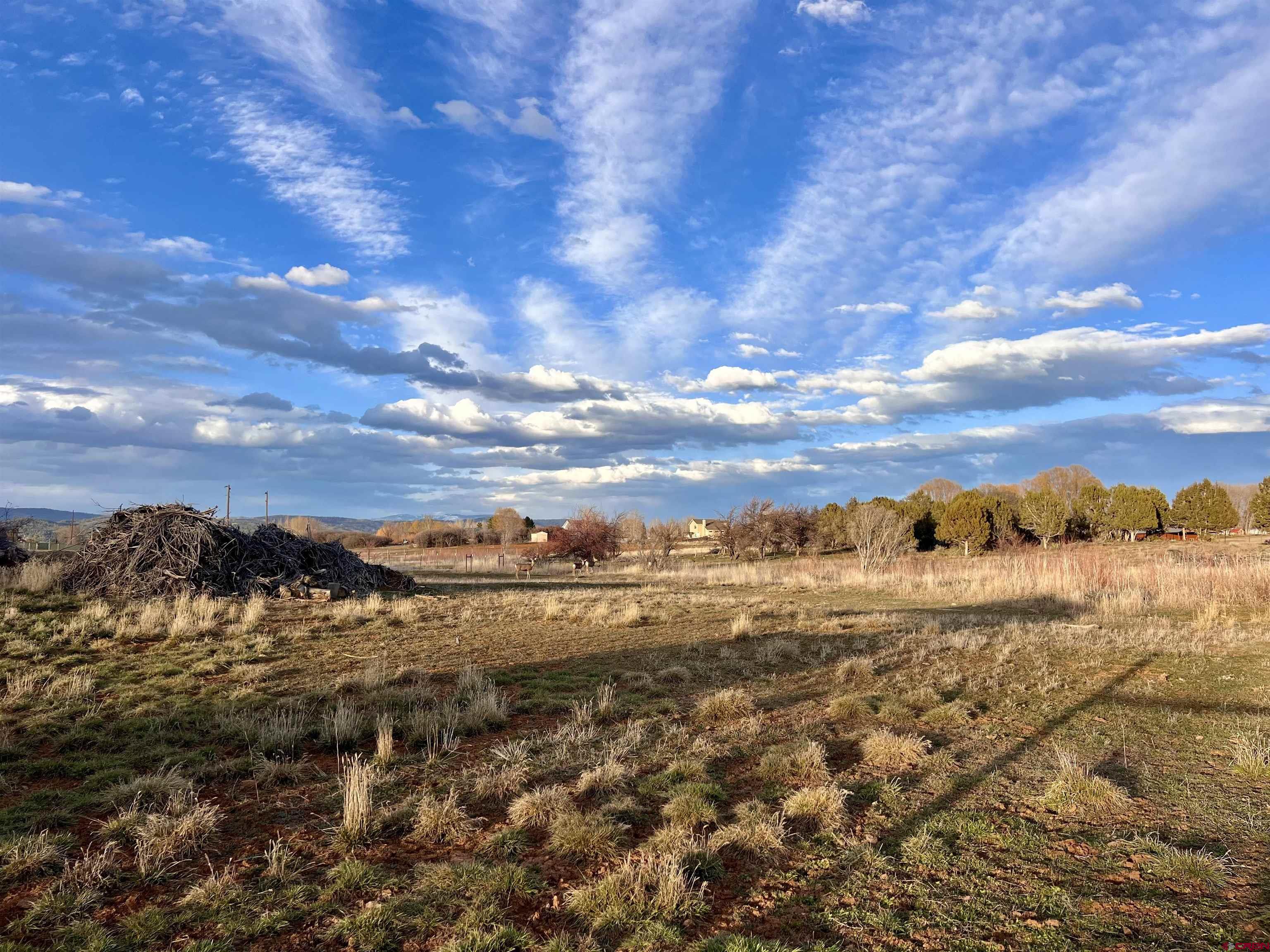 478 Highway 172 Durango, CO 81303 - Photo 21 of 26