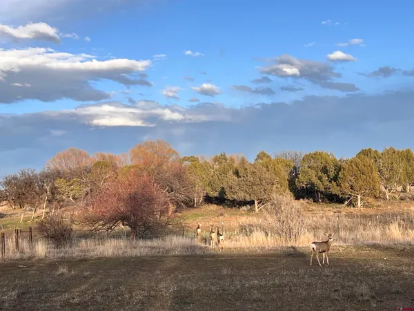 $425,000 | 478 Highway 172, Durango, CO 81303