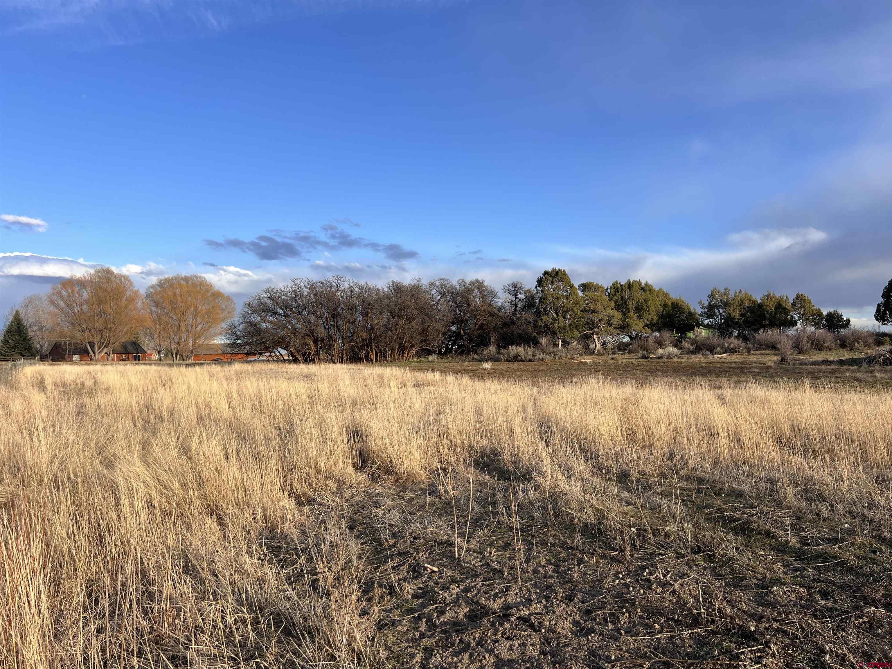 478 Highway 172 Durango, CO 81303 - Photo 7 of 26