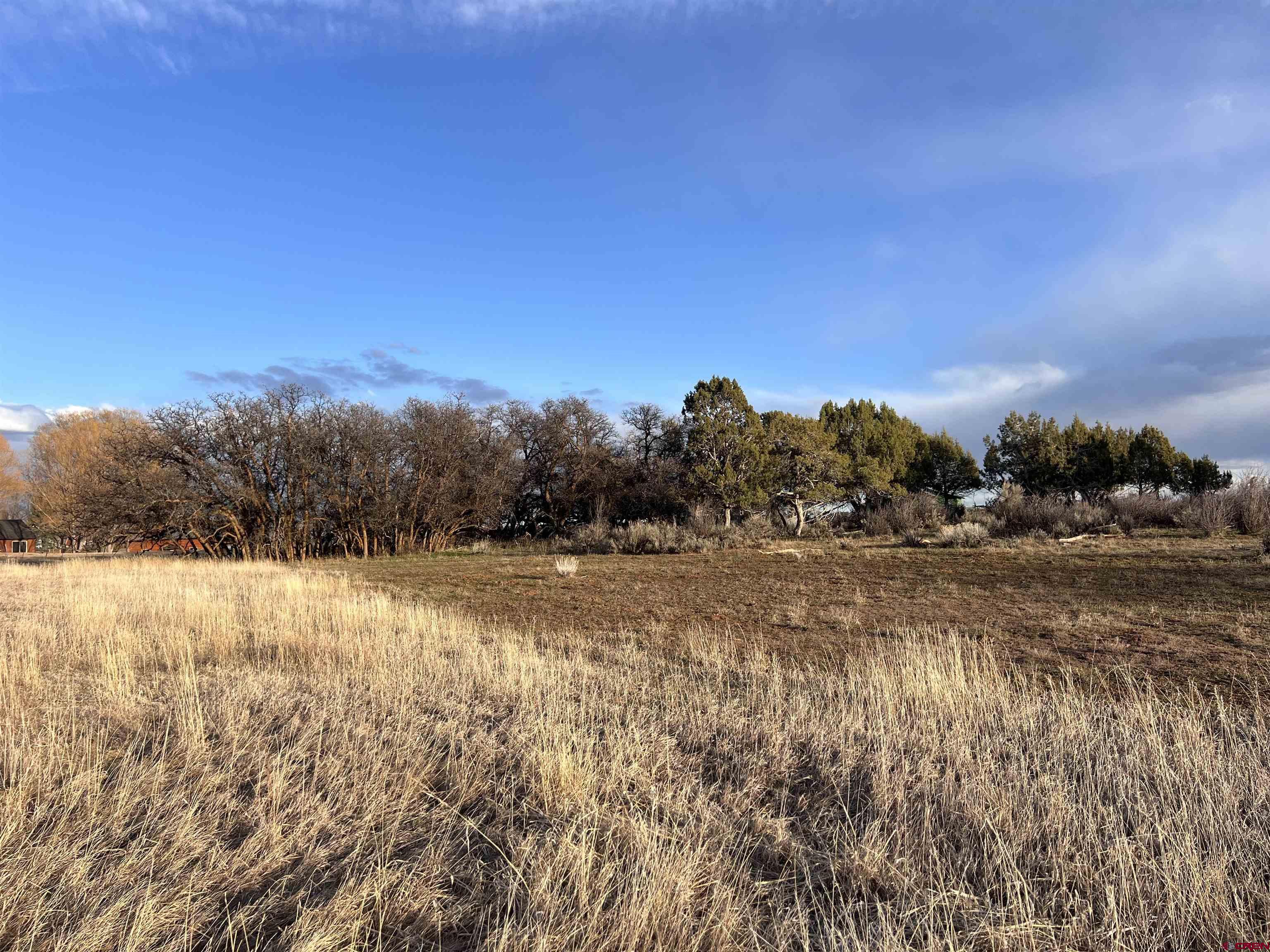 478 Highway 172 Durango, CO 81303 - Photo 8 of 26