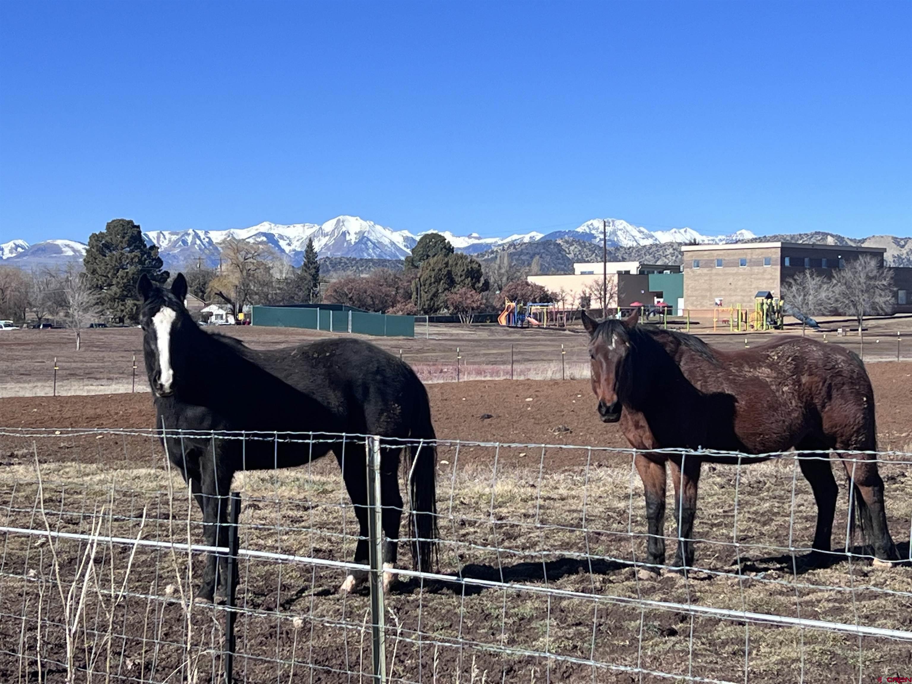 478 Highway 172 Durango, CO 81303 - Photo 9 of 26