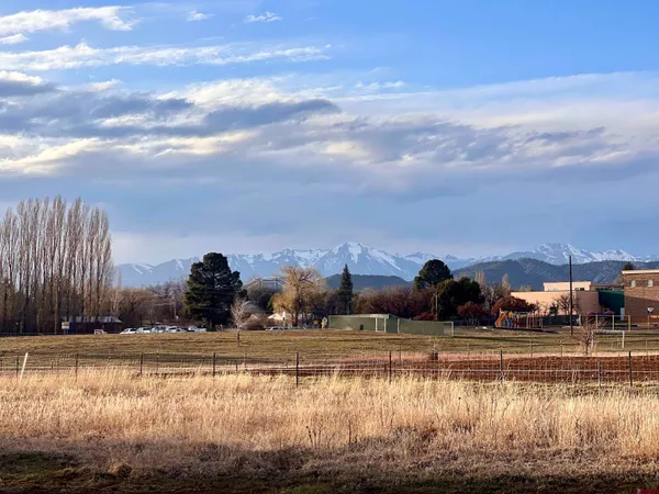 a view of a yard with wooden fence