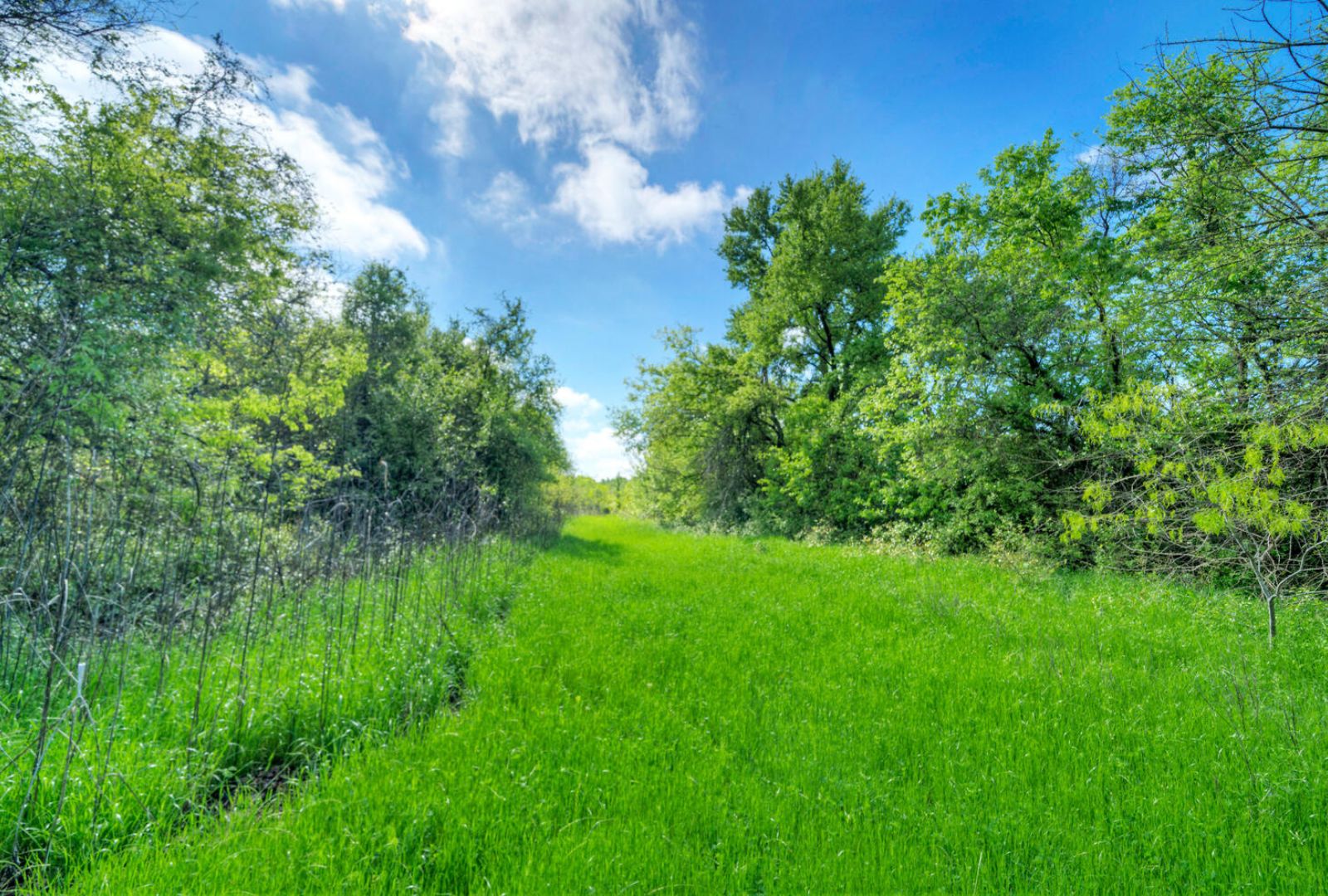 0 County Road 463 Elgin, TX 78621 - Photo 32 of 37 a view of a lush green space