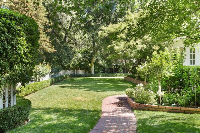 a view of a yard with a tree