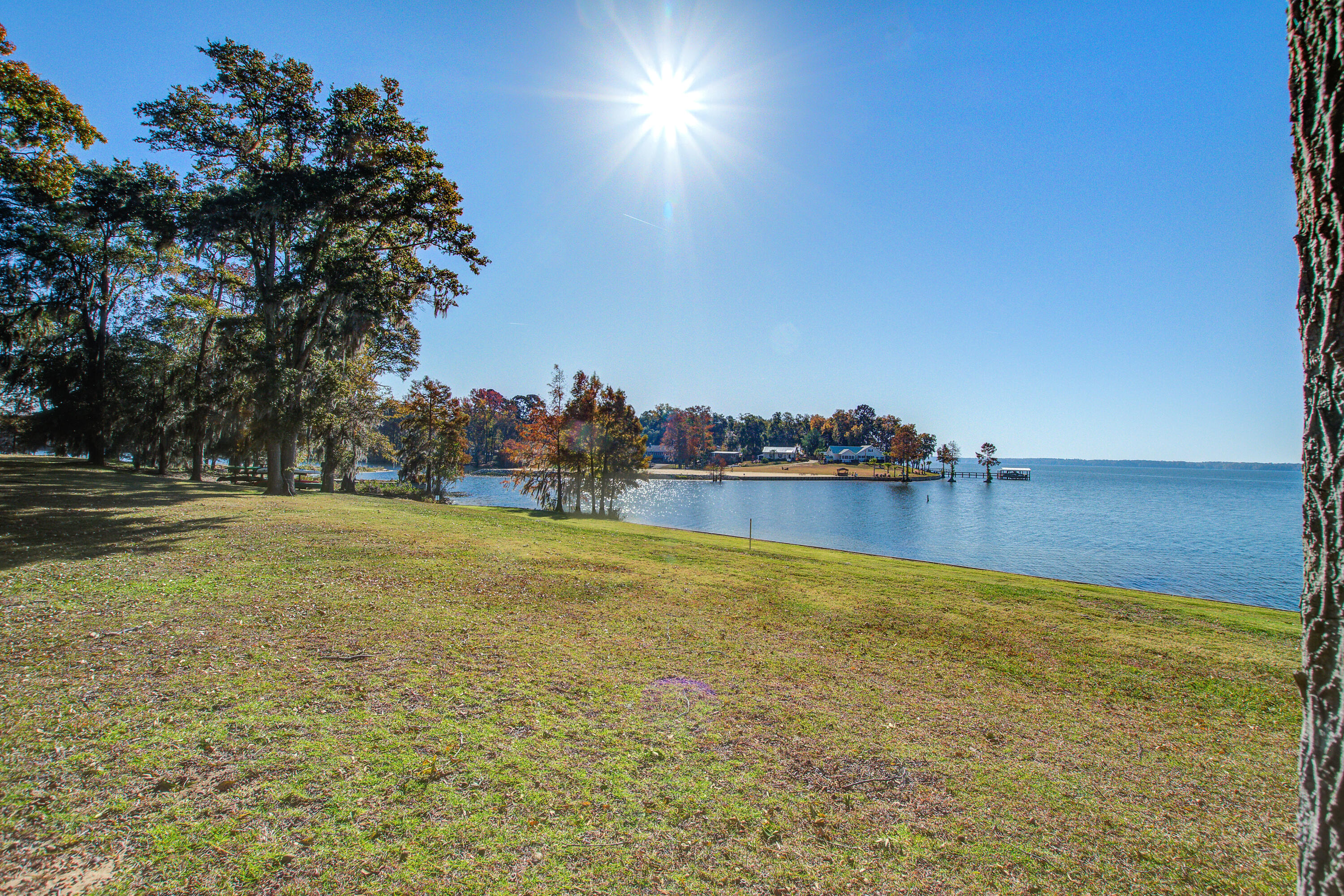 1222 Bridgeview Lane, Unit F303 Summerton, SC 29148 - Photo 45 of 60 1222 (48)