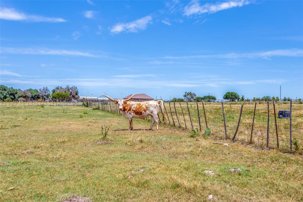 950 Johnson Bend Road Weatherford, TX 76088 - Photo 3 of 40 a view of a lake with a yard