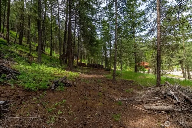 $80,000 | 7 Howerton Road, Twisp, WA 98856