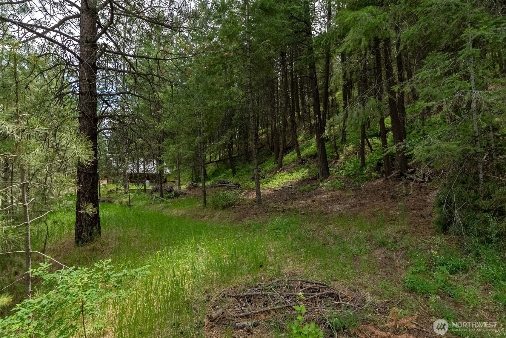 7 Howerton Road Twisp, WA 98856 - Photo 13 of 25