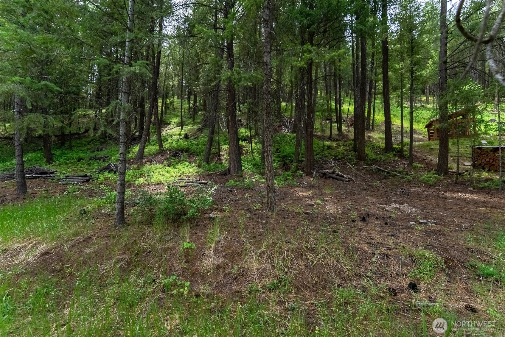 7 Howerton Road Twisp, WA 98856 - Photo 14 of 25