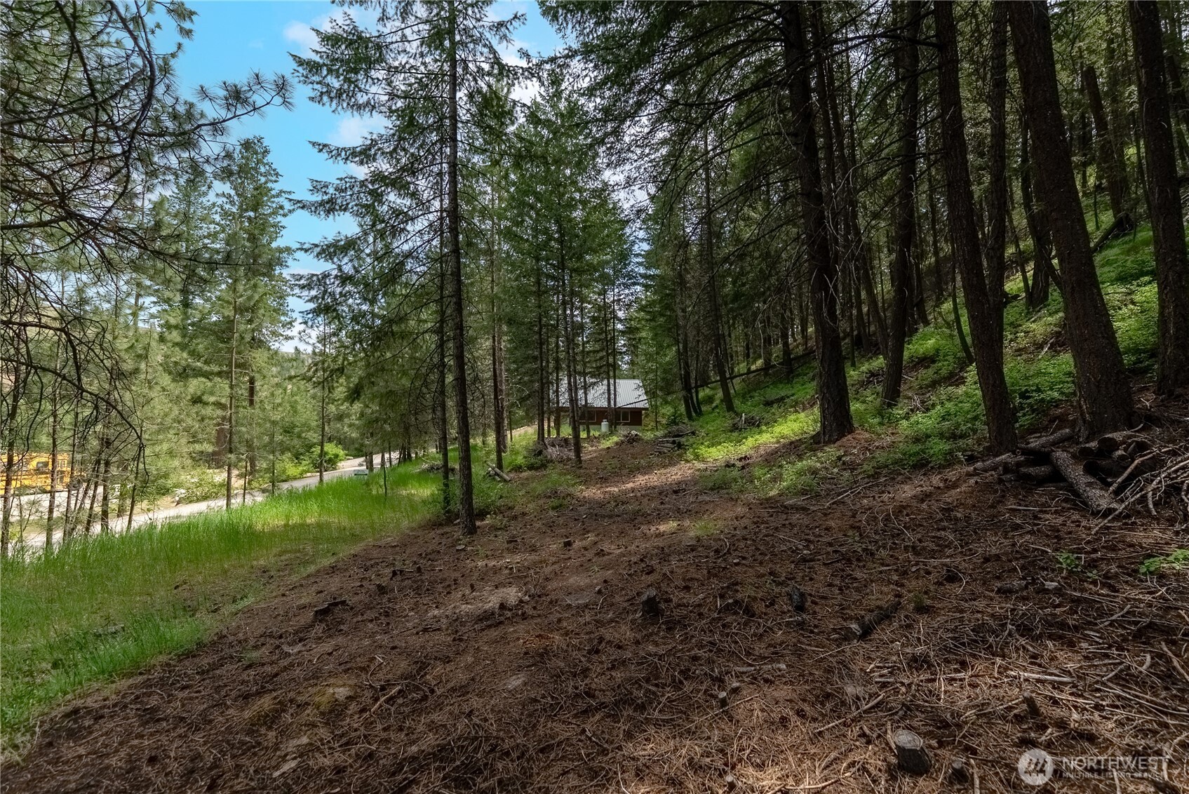 7 Howerton Road Twisp, WA 98856 - Photo 5 of 25