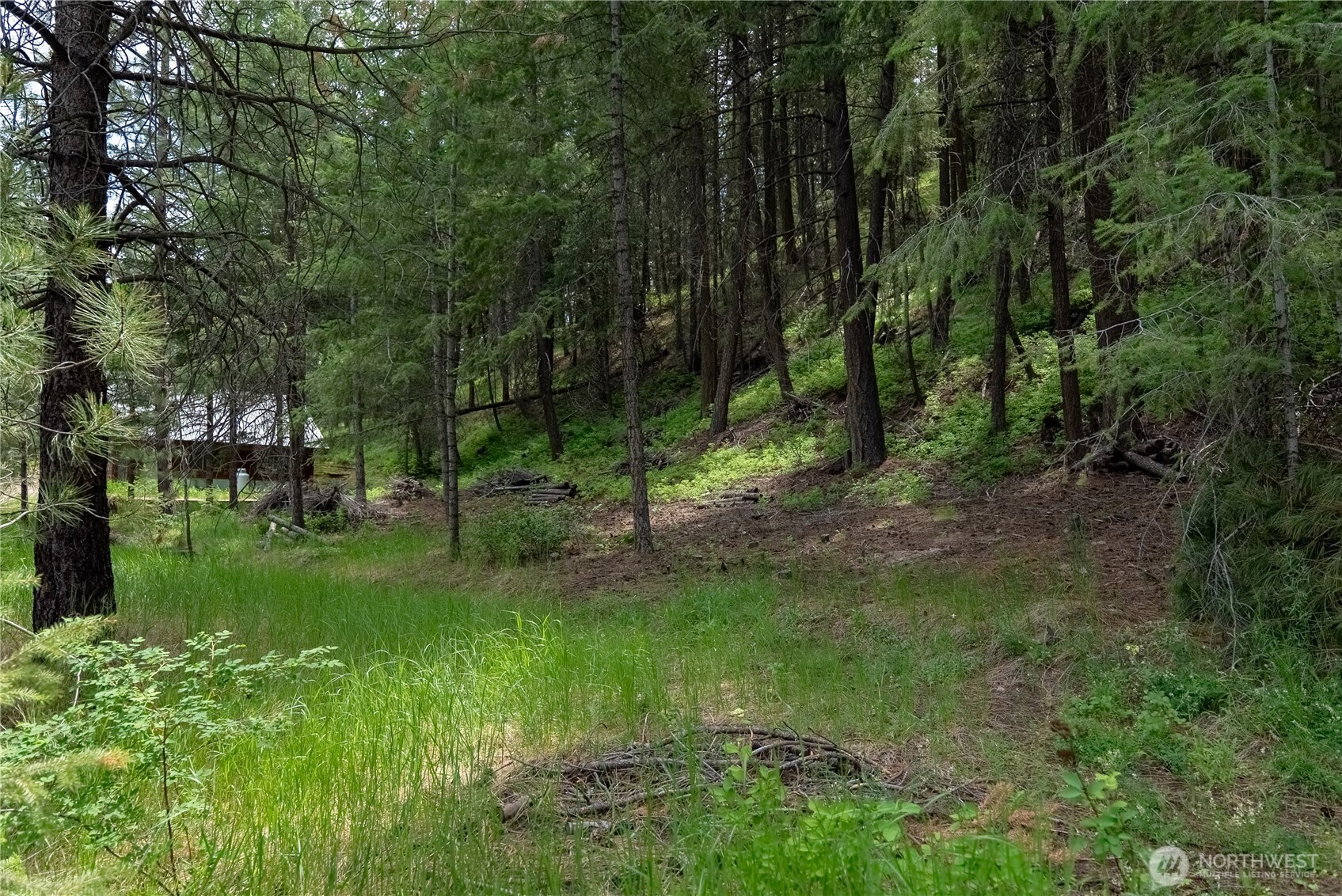 7 Howerton Road Twisp, WA 98856 - Photo 8 of 25