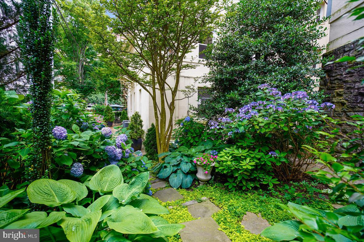 3405 Greenway, Unit 56 Baltimore, MD 21218 - Photo 5 of 10 a bunch of flowers and trees in a garden