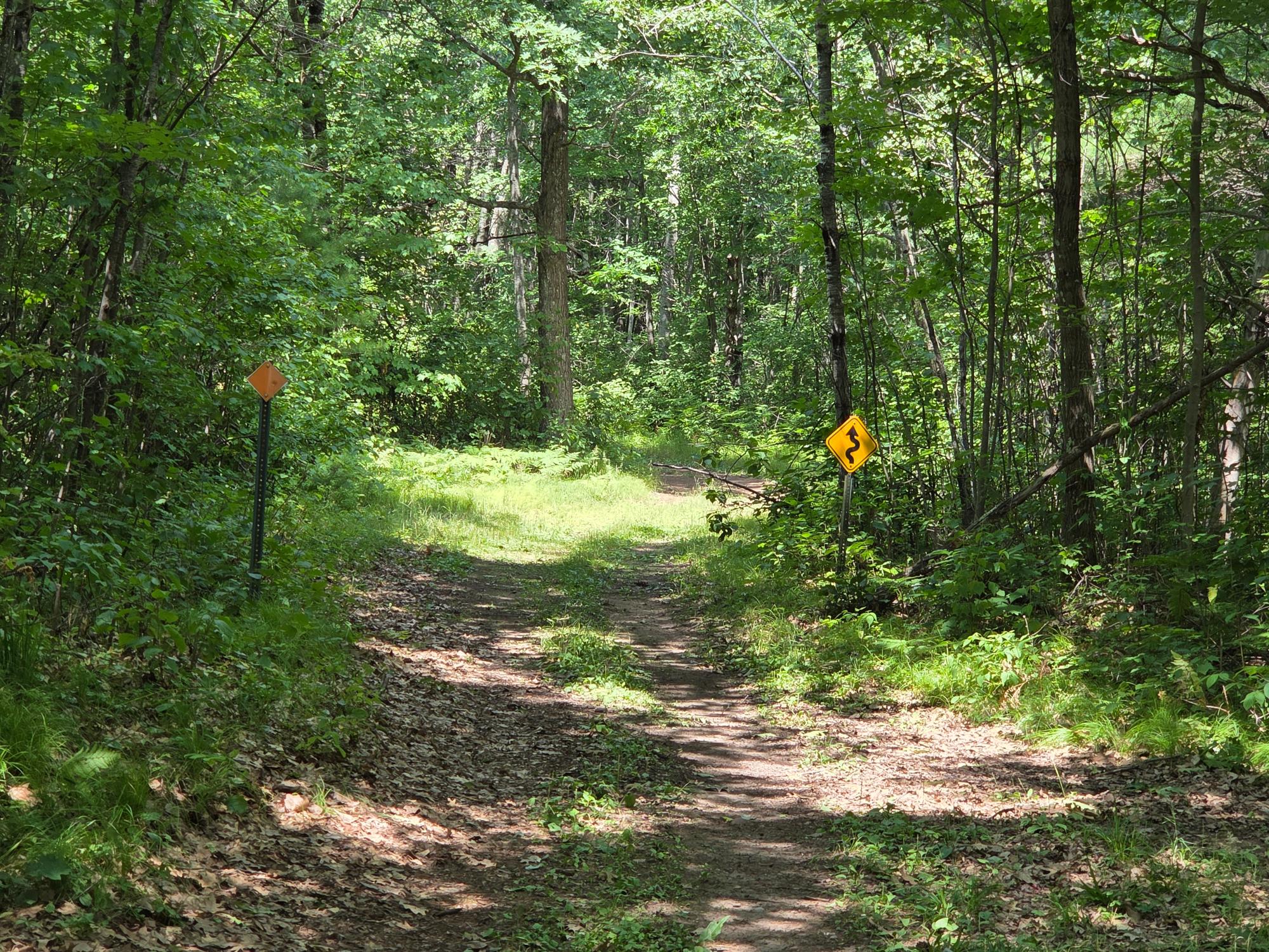 On Oakridge Road Harshaw, WI 54529 - Photo 49 of 75