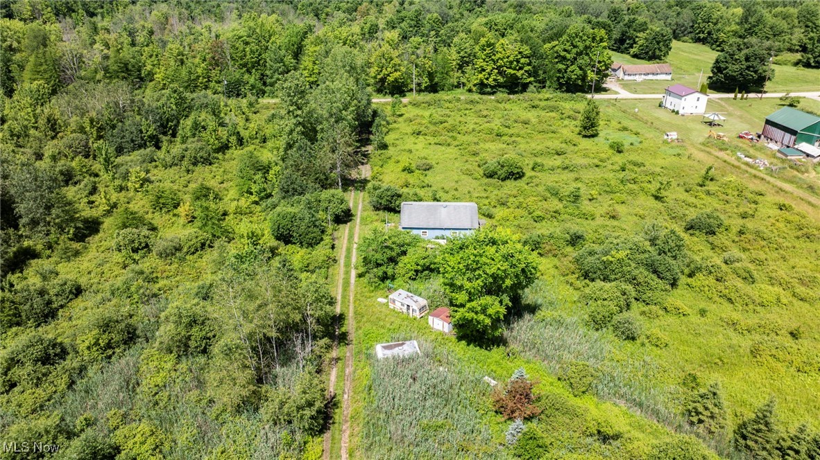 876 Clay Road Jefferson, OH 44047 - Photo 15 of 18 Bird's eye view of a heavily wooded area