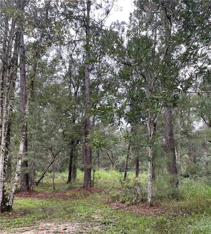 0 Wells Road Covington, LA 70433 - Photo 2 of 2