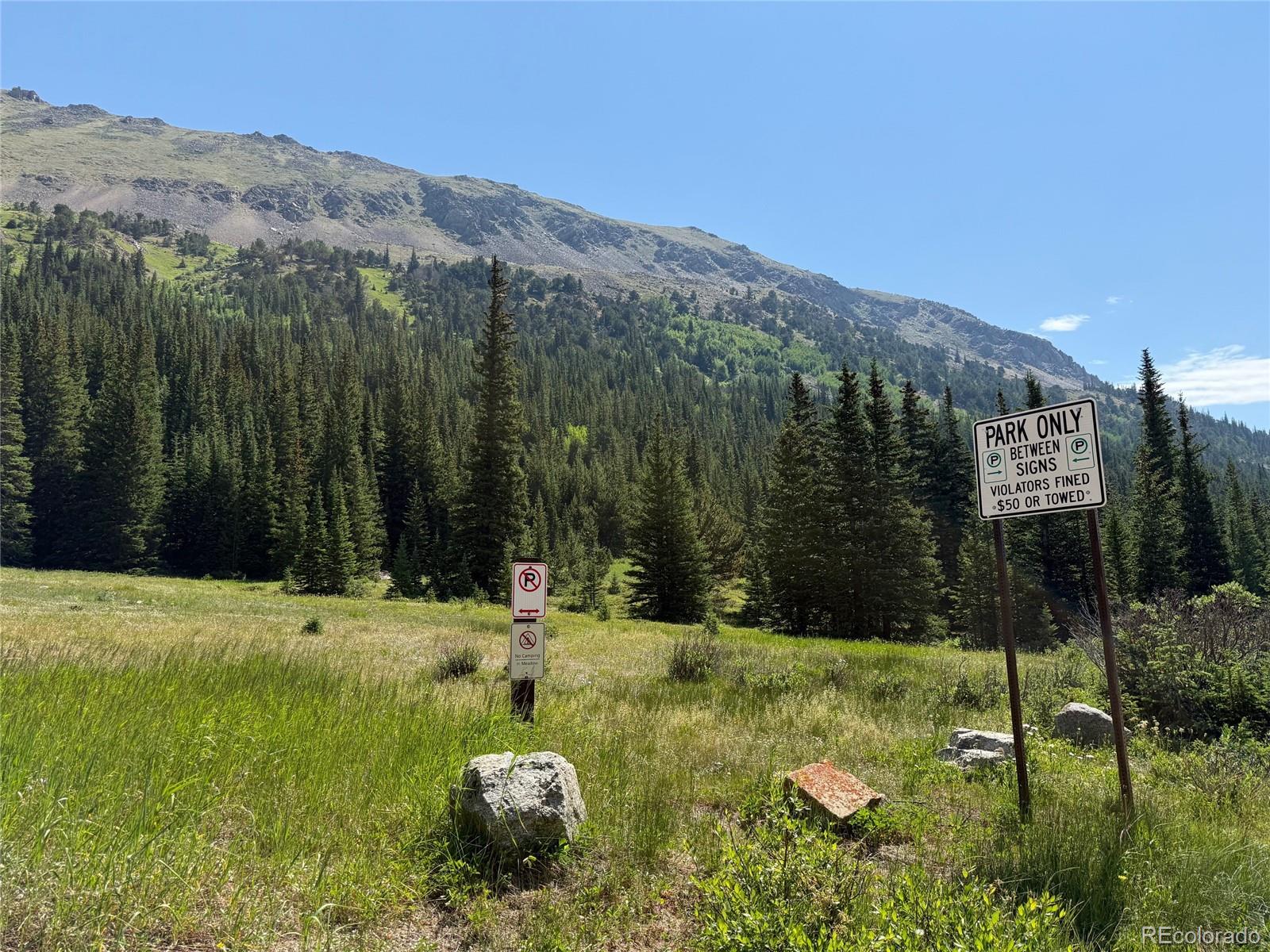 a view of a lush green field with mountains in the background