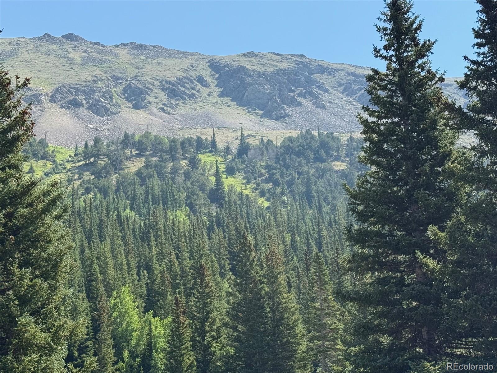 3802 4th Of July Road Nederland, CO 80466 - Photo 6 of 7 a view of a dry yard with mountains in the background