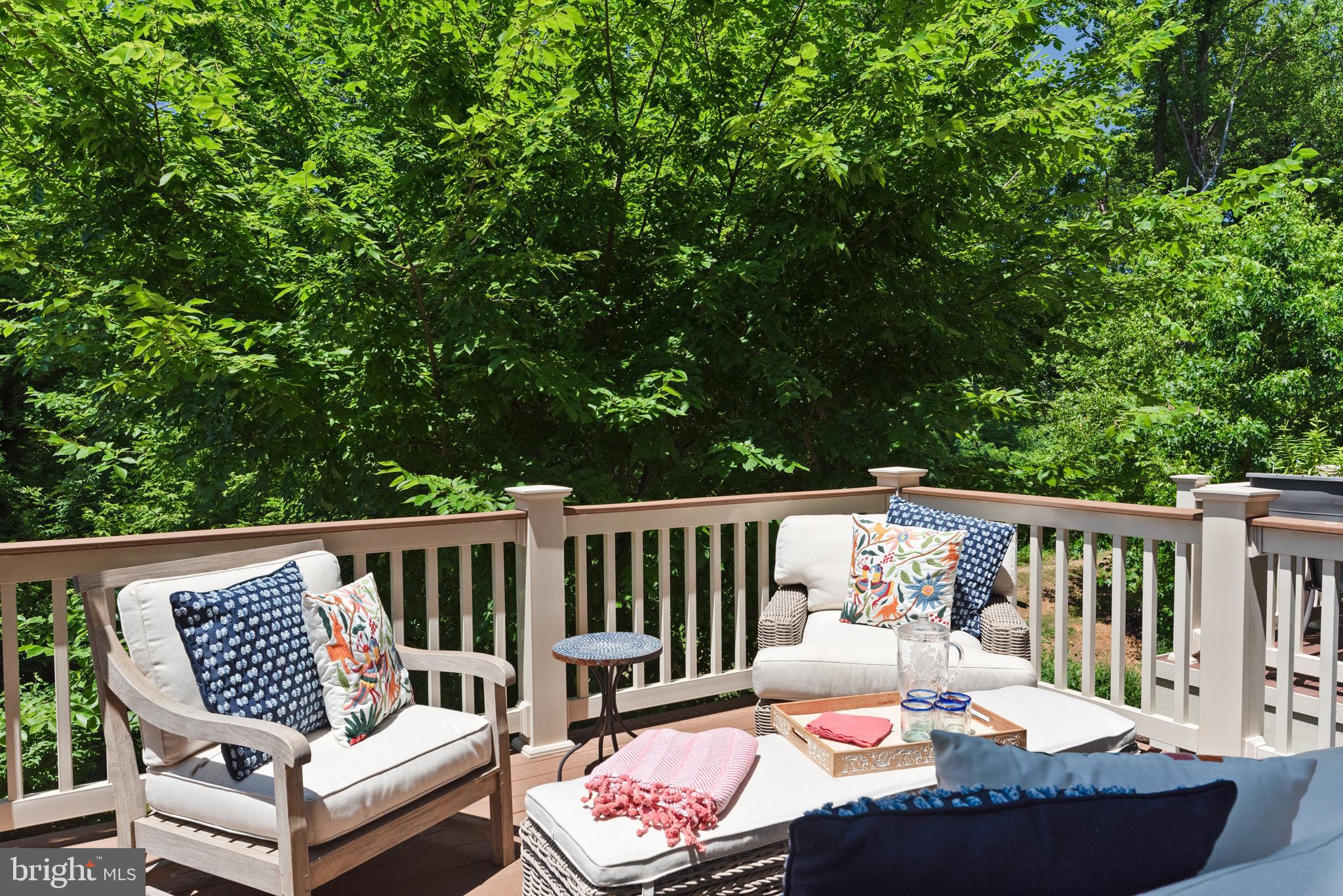 138 Merrimack Way Arnold, MD 21012 - Photo 7 of 50 a view of a patio on the roof deck