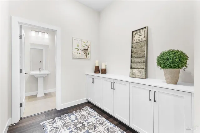 a view of a hallway with cabinet and a potted plant