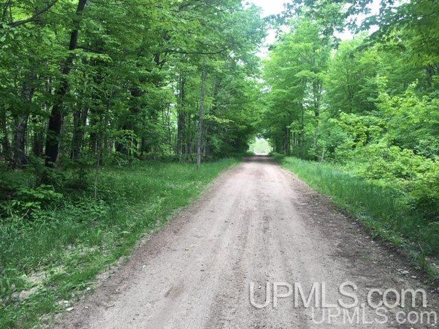 864 Niemi Road Skandia, MI 49885 - Photo 8 of 27
