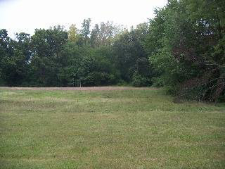 1003 Cole Road Monroe, MI 48162 - Photo 5 of 9 766960-4.JPG