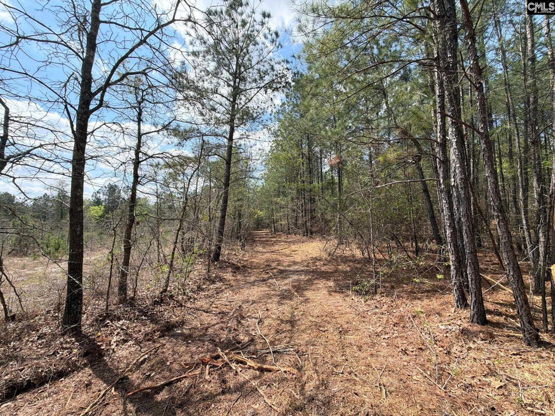 4 Mt Calvary Rd Ridge Spring Ridge Spring, SC 29129 - Photo 7 of 40