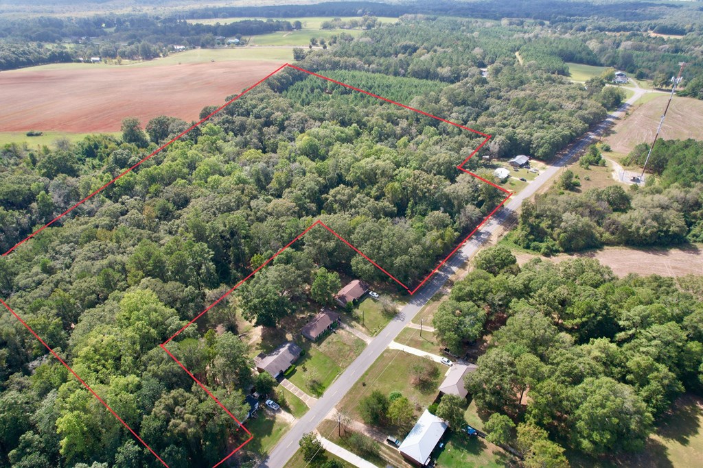 0 JB Chapman Road Midland City, AL 36350 - Photo 4 of 9