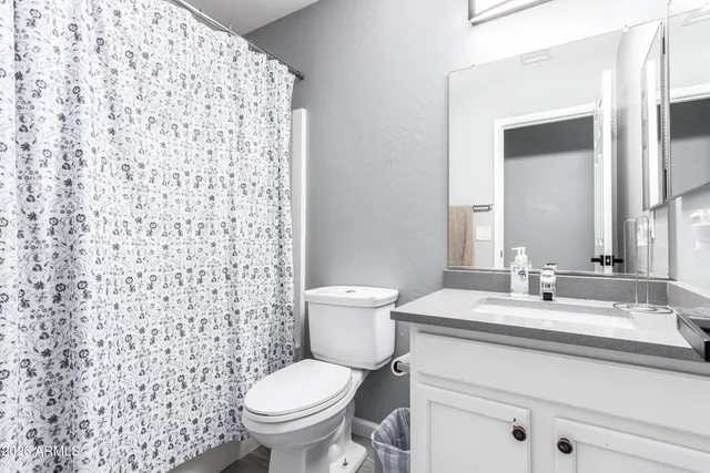 a bathroom with a sink a toilet and a mirror