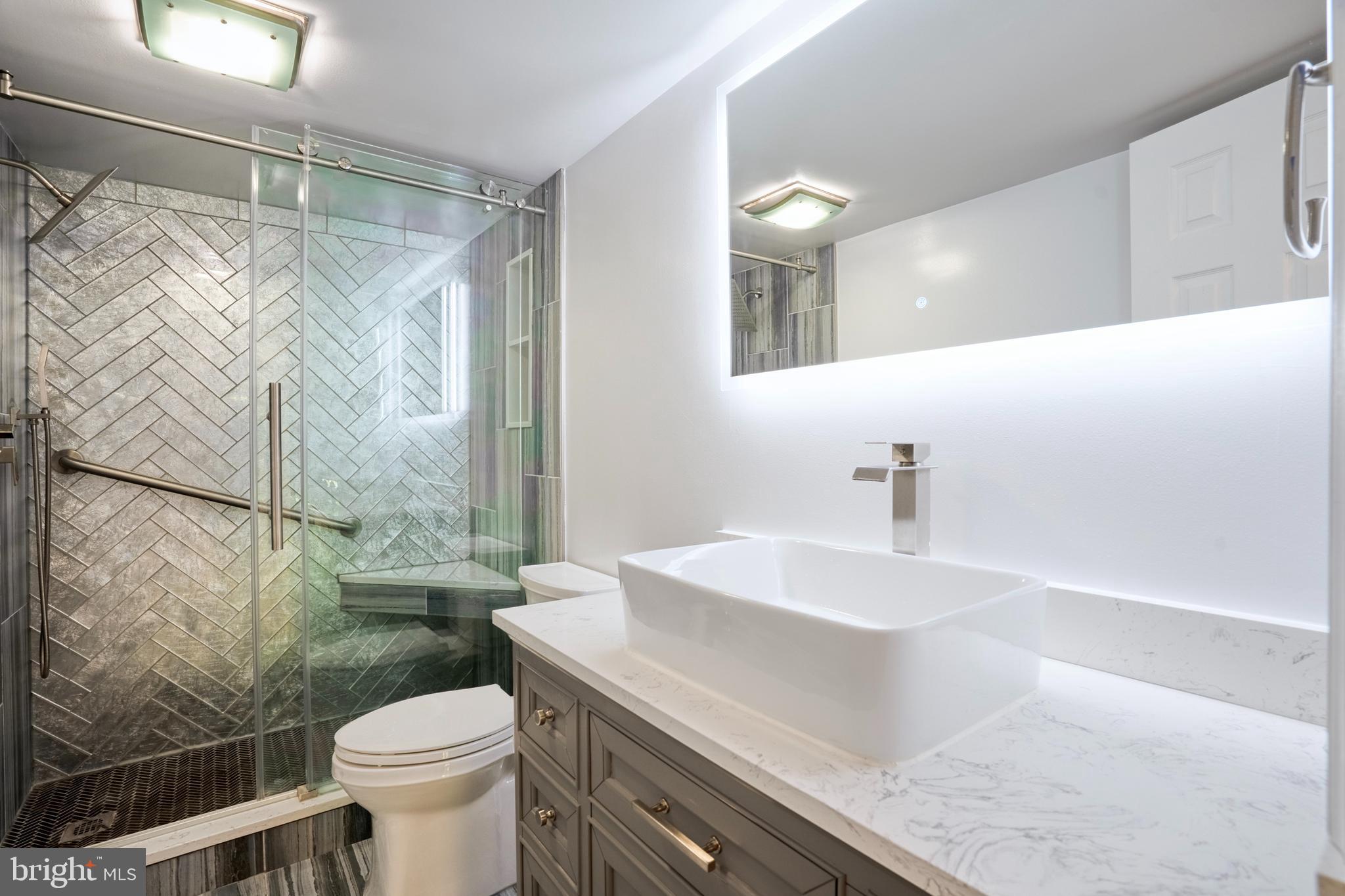 1800 Old Meadow Road, Unit 218 McLean, VA 22102 - Photo 11 of 57 Stall shower & raised sink