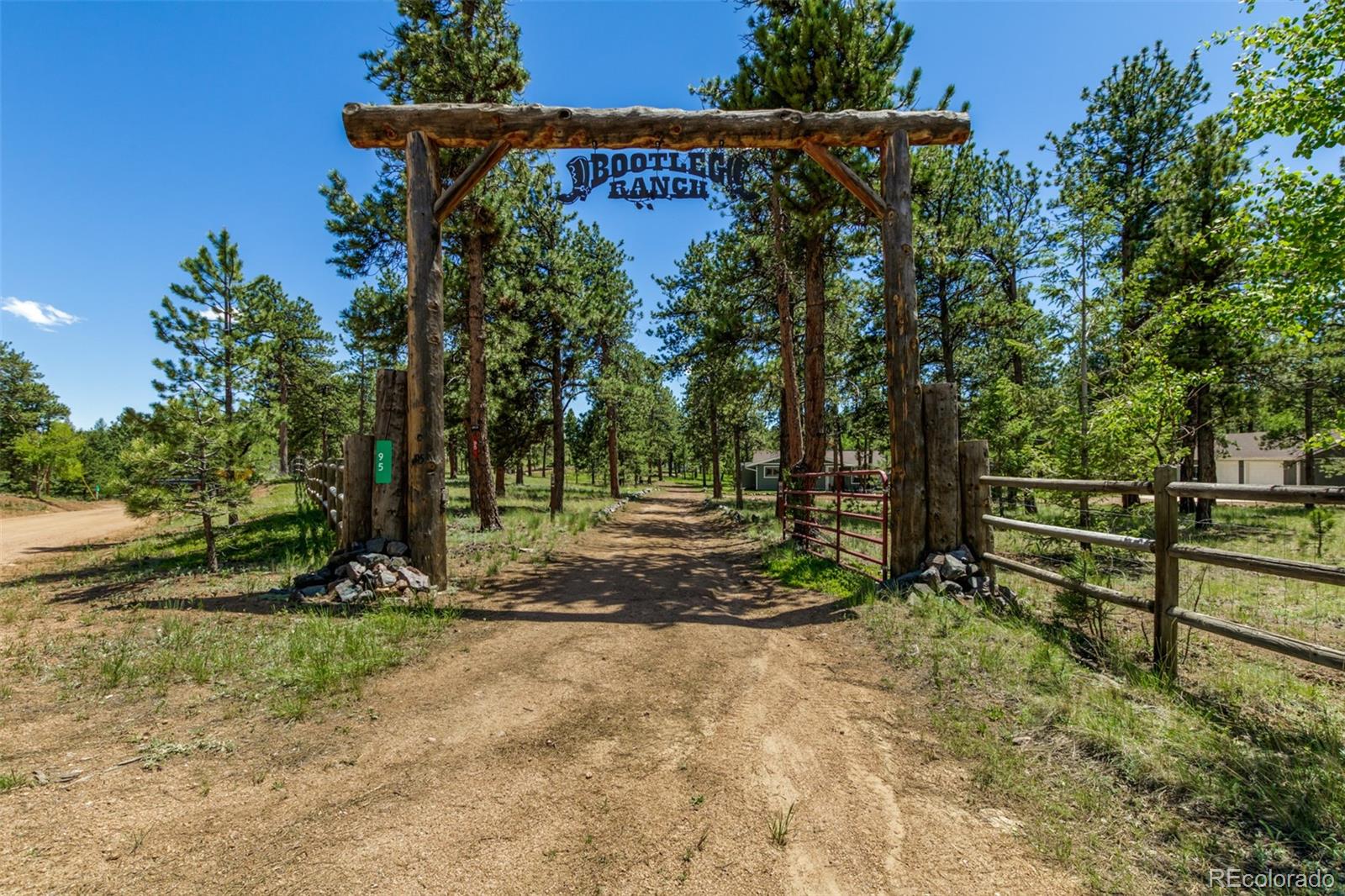 95 Double Tree Road Bailey, CO 80421 - Photo 1 of 40 a view of outdoor space and yard