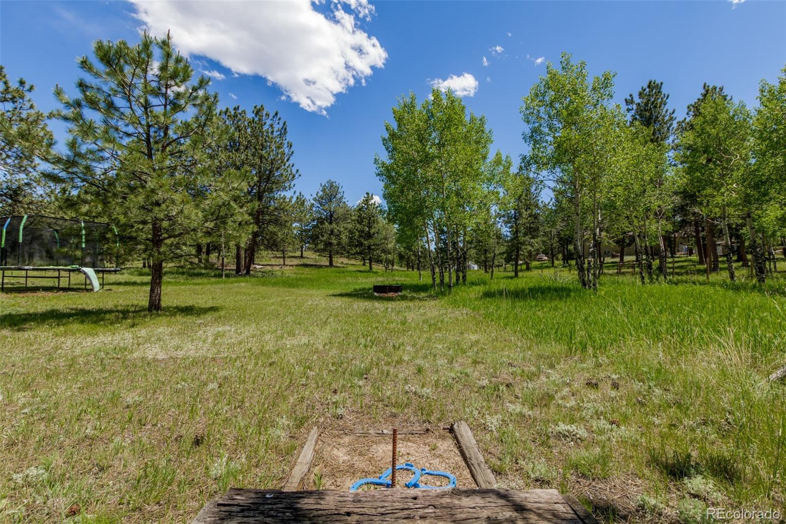 95 Double Tree Road Bailey, CO 80421 - Photo 30 of 40 a view of a park with large trees