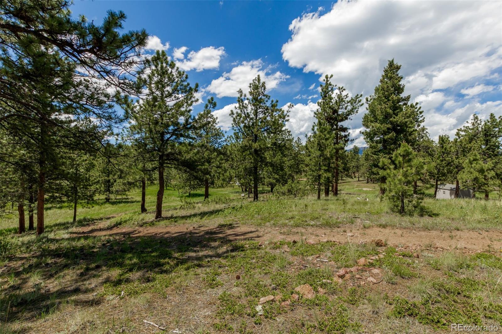 95 Double Tree Road Bailey, CO 80421 - Photo 32 of 40 a view of outdoor space with trees all around