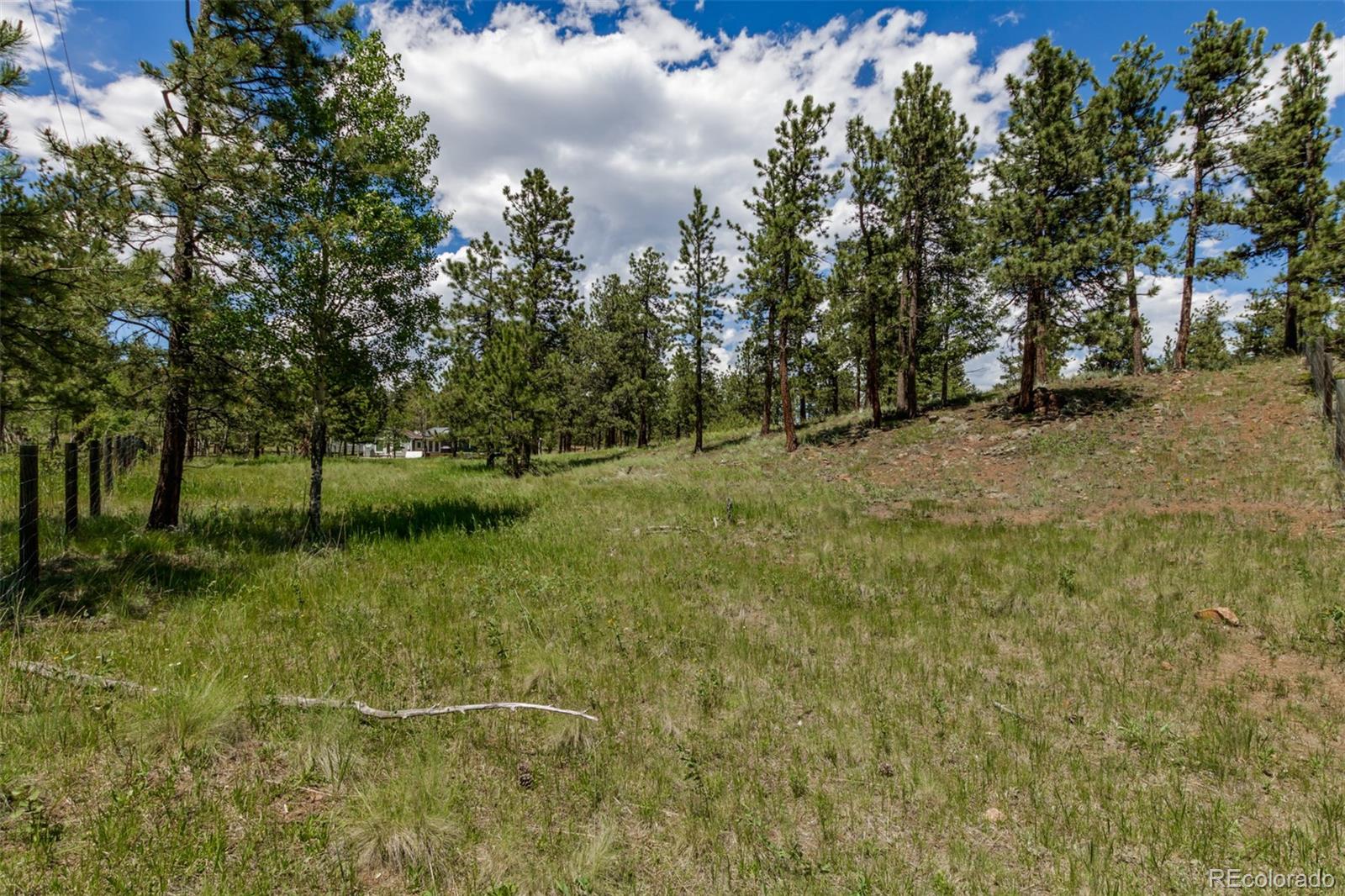 95 Double Tree Road Bailey, CO 80421 - Photo 33 of 40 a view of a field with trees around