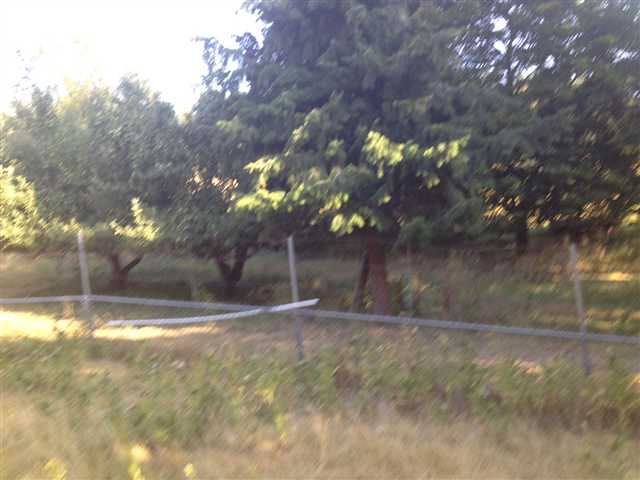 6101 East Valley Springs Road Spokane, WA 99217 - Photo 6 of 8