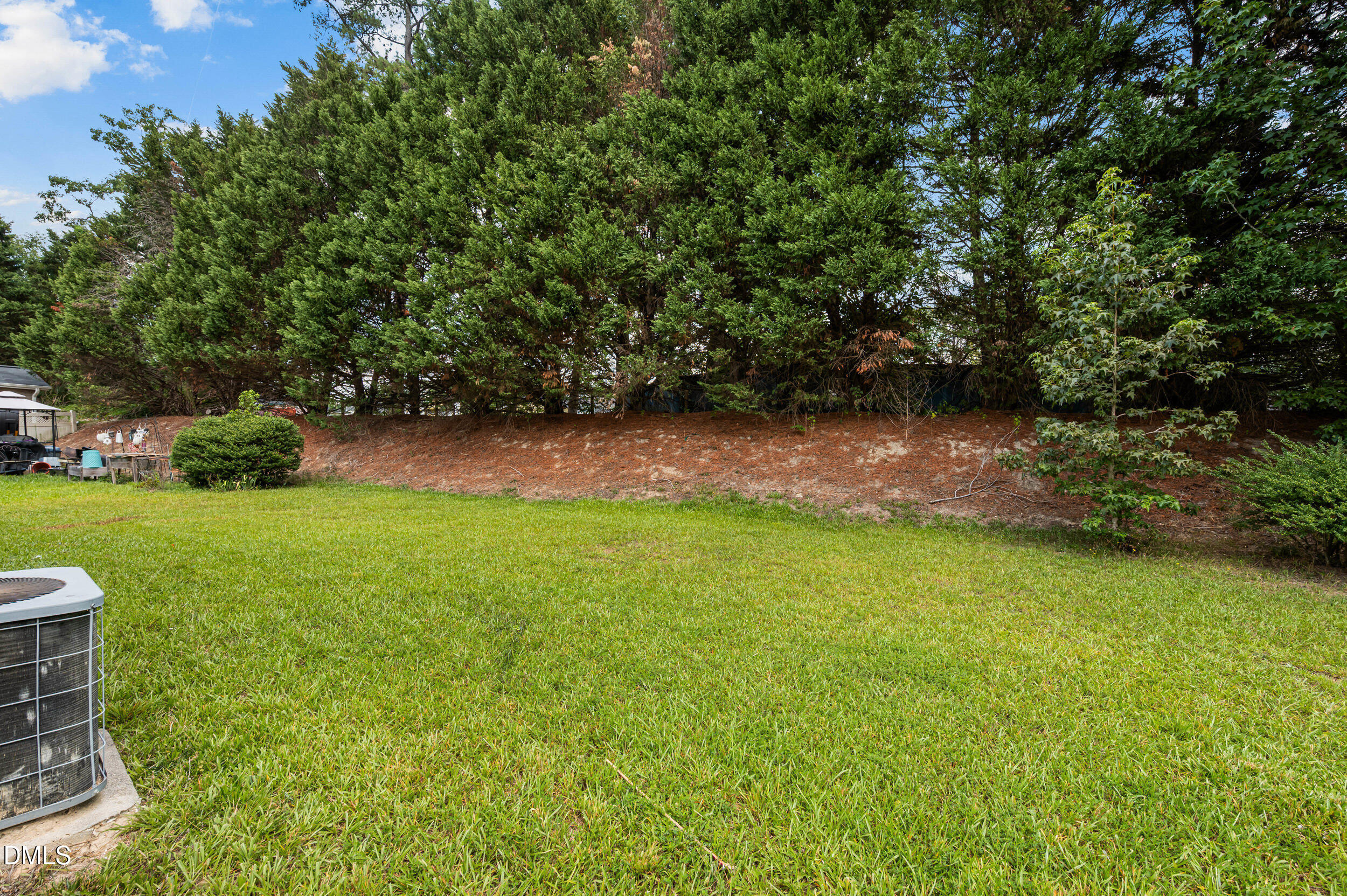 3825 Tryon Ridge Drive Raleigh, NC 27610 - Photo 28 of 30 29_dsc_6101