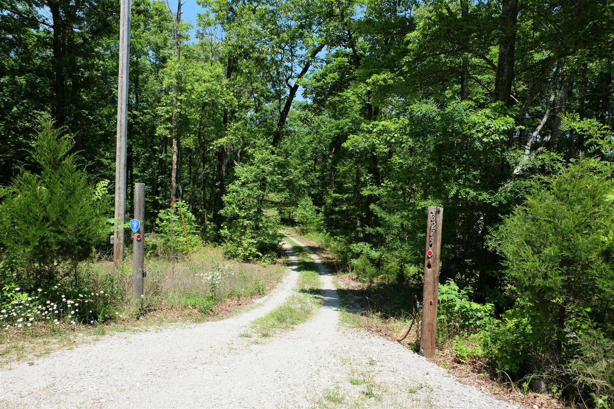 3275 Jackson Point Road Sewanee, TN 37375 - Photo 19 of 20 House sits 100's of feet from road making for a very private, secluded place.