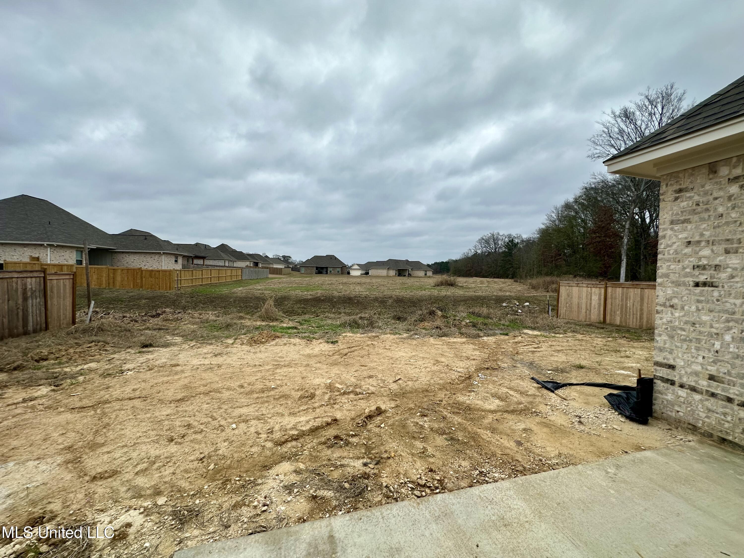 404 Butternut Drive Canton, MS 39046 - Photo 23 of 25 IMG_9313